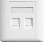 Easenet CAT6 Dual Faceplate with Modules