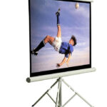 Projector Screen Manual 203 x 203 cm (80 x 80 Inches)