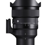 SIGMA 15mm F1.4 DG DN Diagonal Fisheye