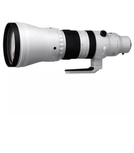 SIGMA 300-600mm F4 DG OS | Sports Lens