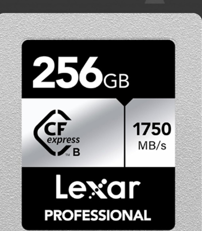 Lexar Professional 256GB CFexpress Type A 1750MB/s Silver