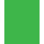 VISICO PAPER BACKDROP 1.35 × 10M GREEN