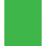 VISICO PAPER BACKDROP 2.75 × 10M CHROMA GREEN (STINGER)